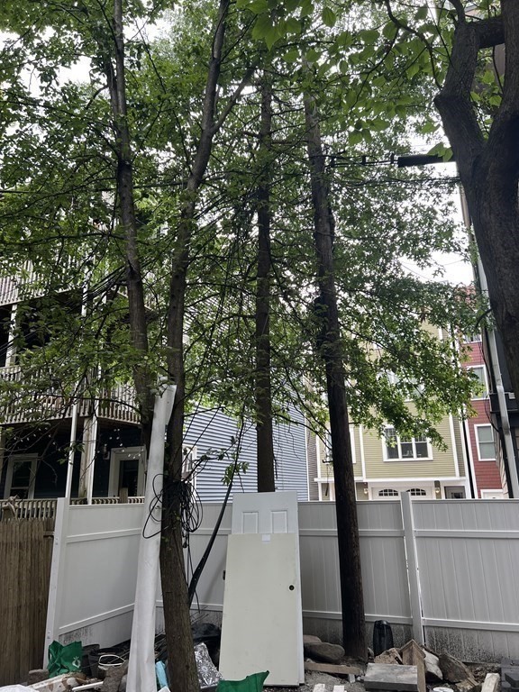 183 West Fifth Street, Unit 1 Boston, MA 02127 - Photo 8 of 16 a view of a house with a tree