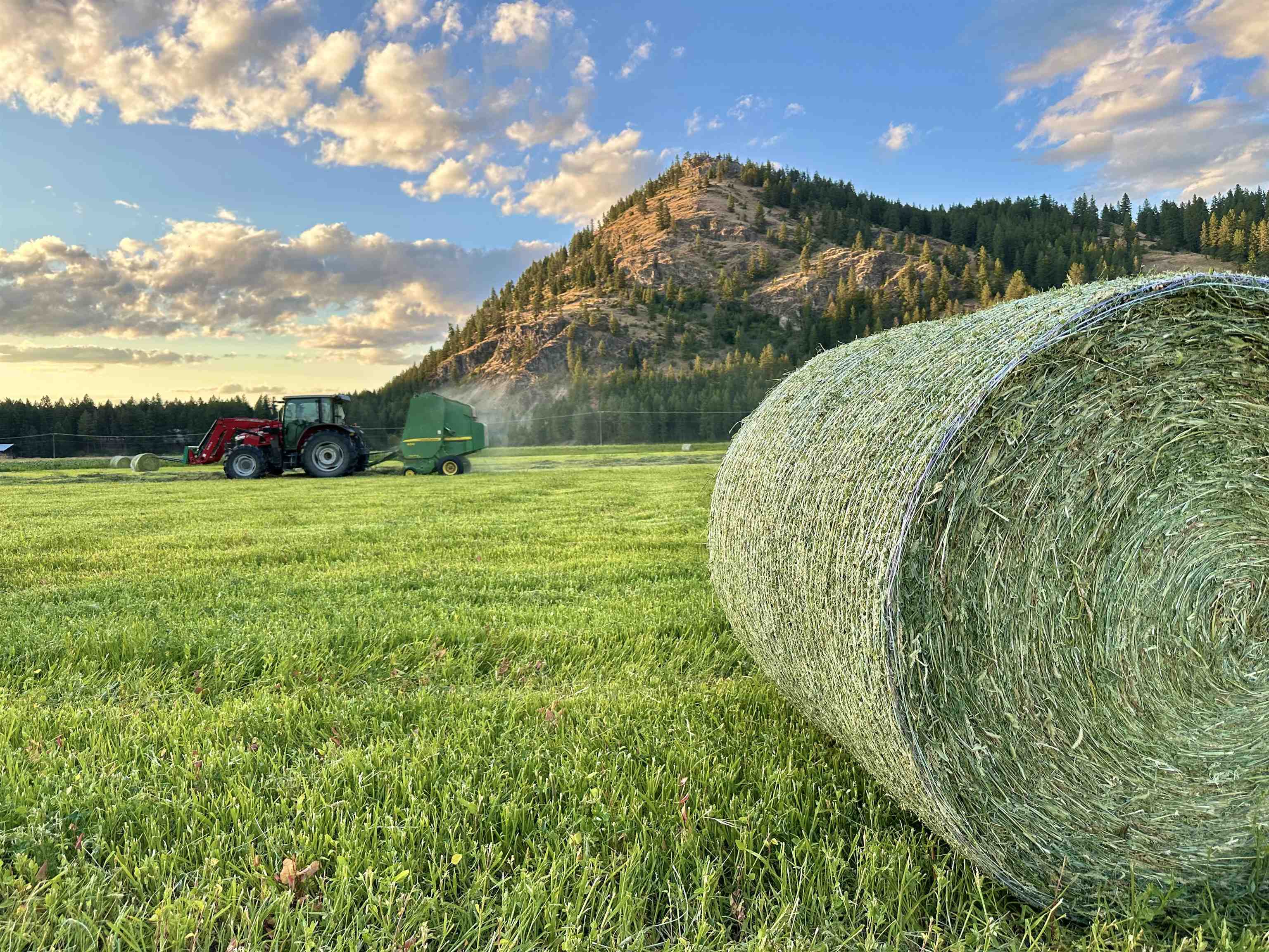 820 Echo Stub Road Colville, WA 99114 - Photo 11 of 46