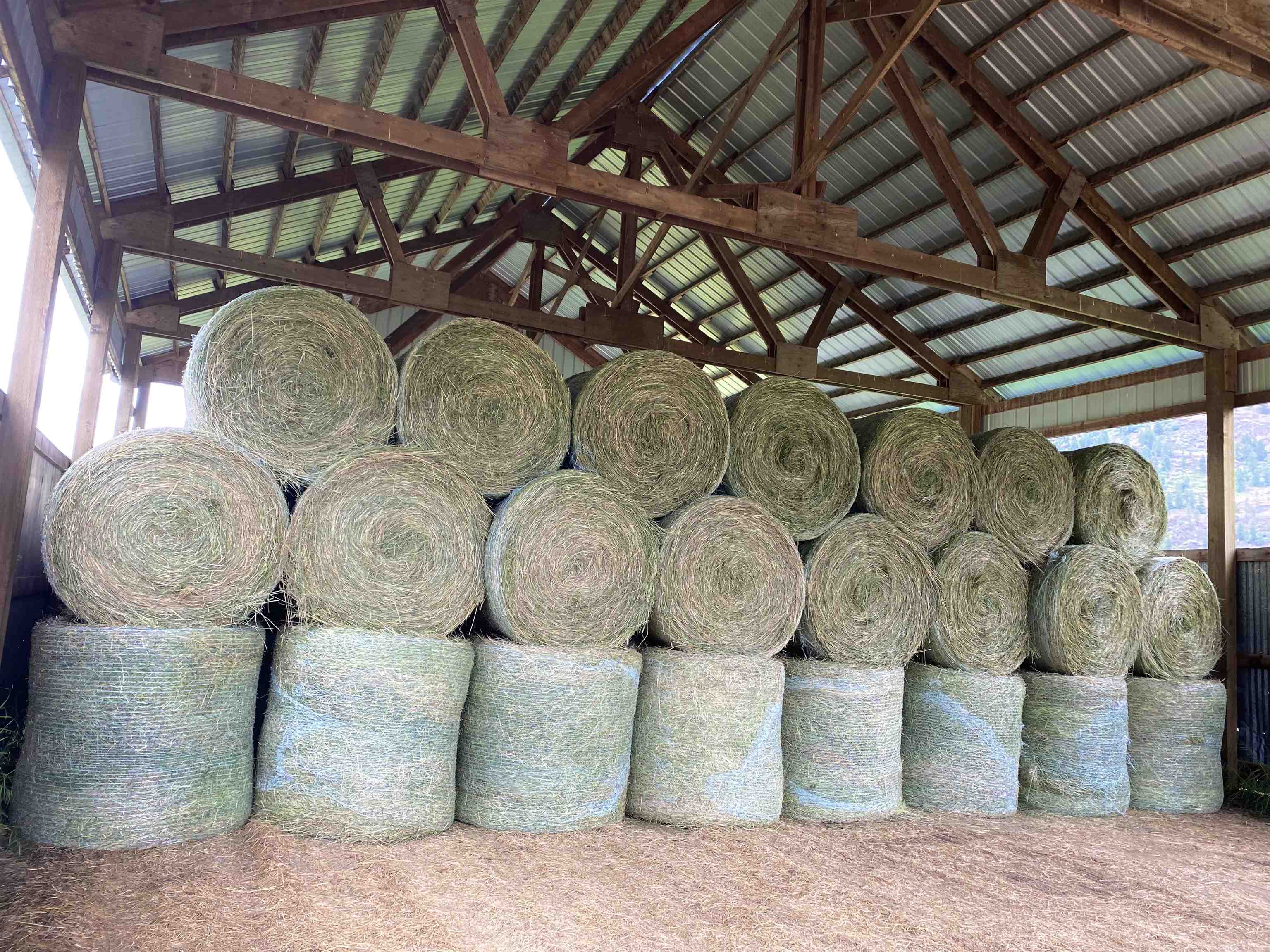 820 Echo Stub Road Colville, WA 99114 - Photo 13 of 46