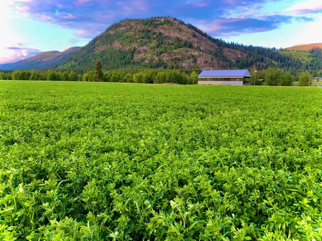 $3,400,000 | 820 Echo Stub Road, Colville, WA 99114