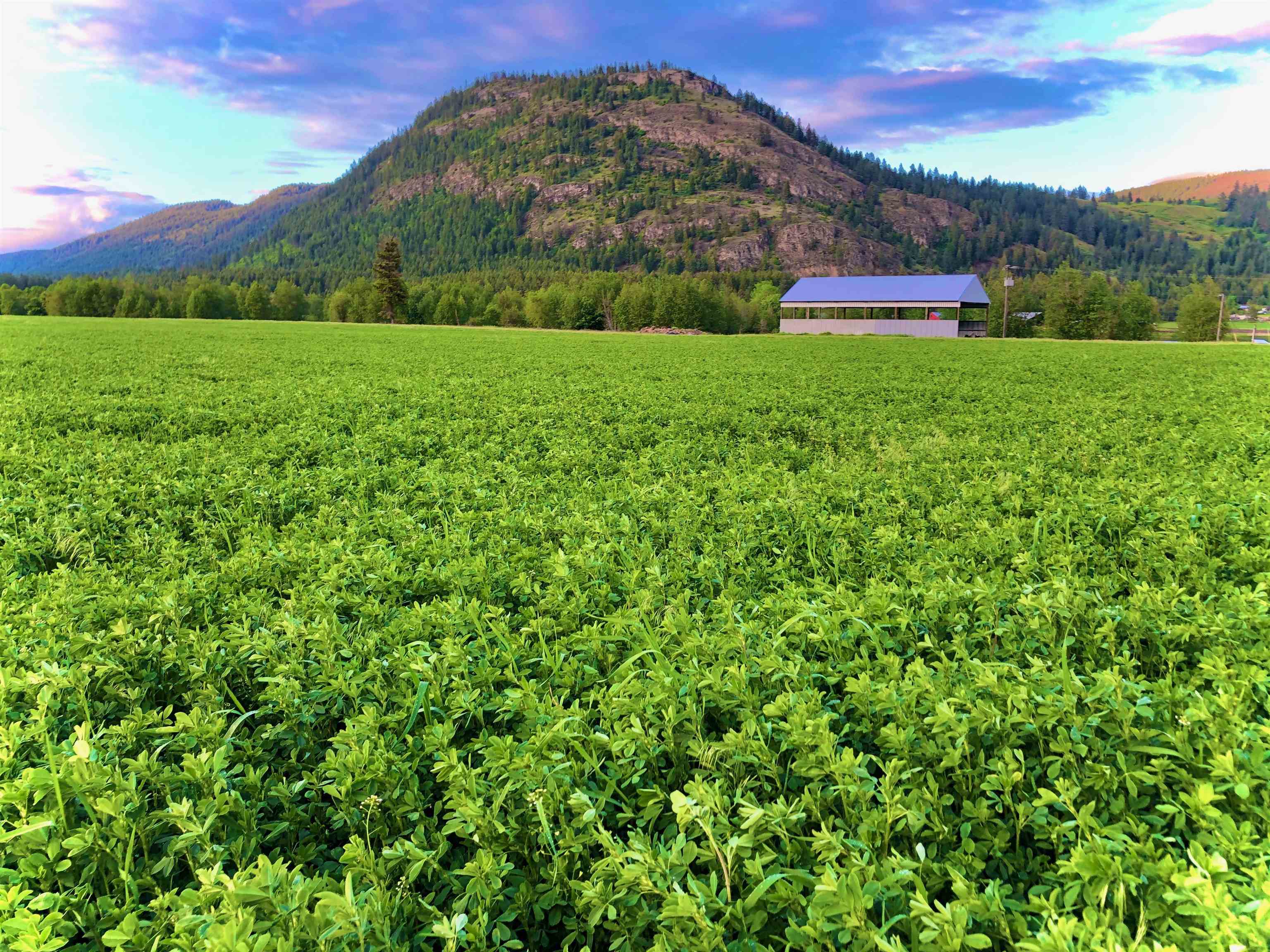 820 Echo Stub Road Colville, WA 99114 - Photo 14 of 46