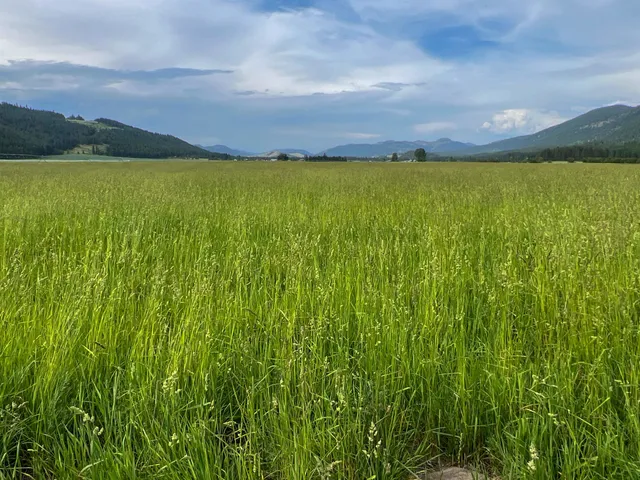 $3,400,000 | 820 Echo Stub Road, Colville, WA 99114