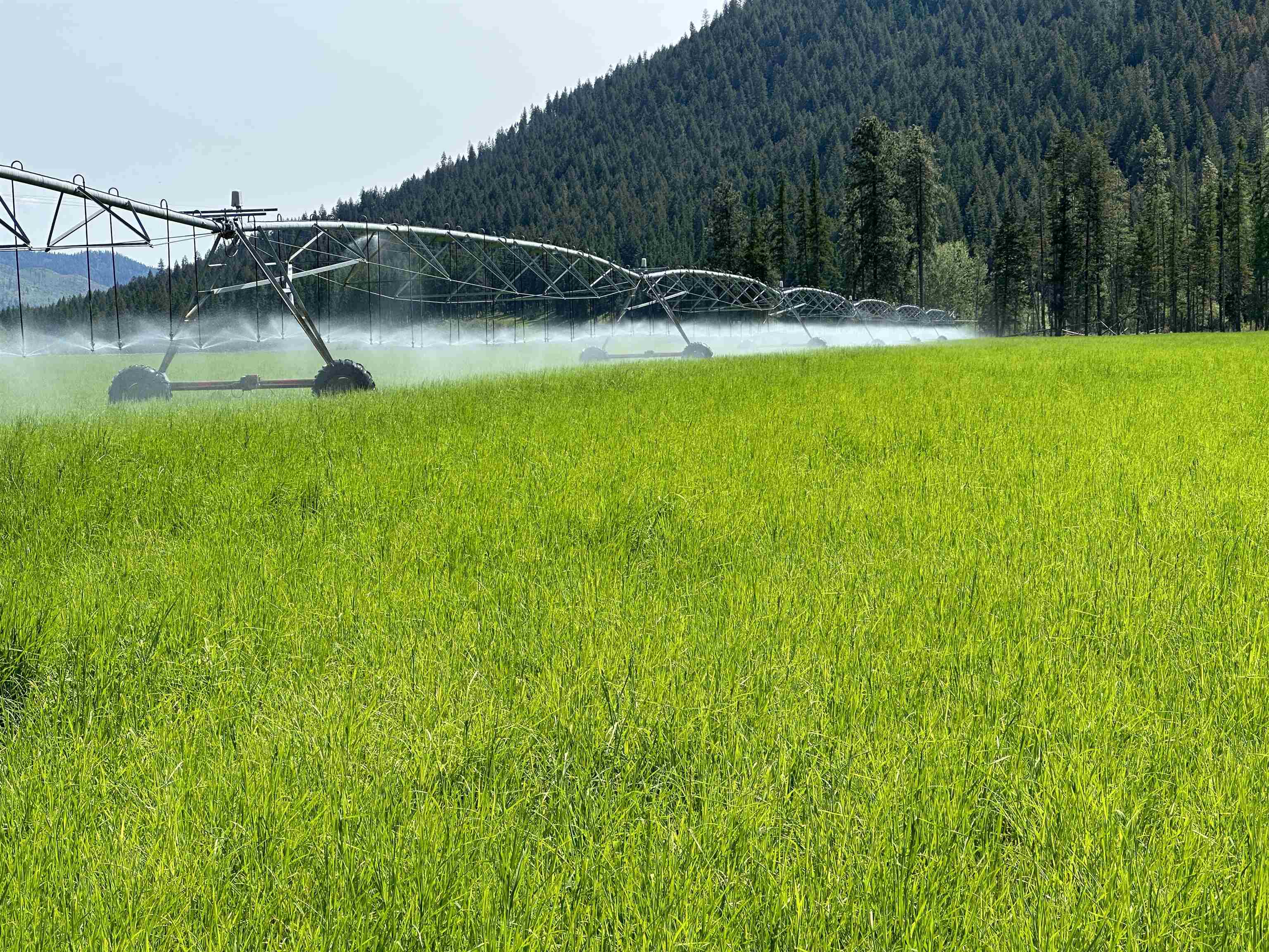 820 Echo Stub Road Colville, WA 99114 - Photo 16 of 46