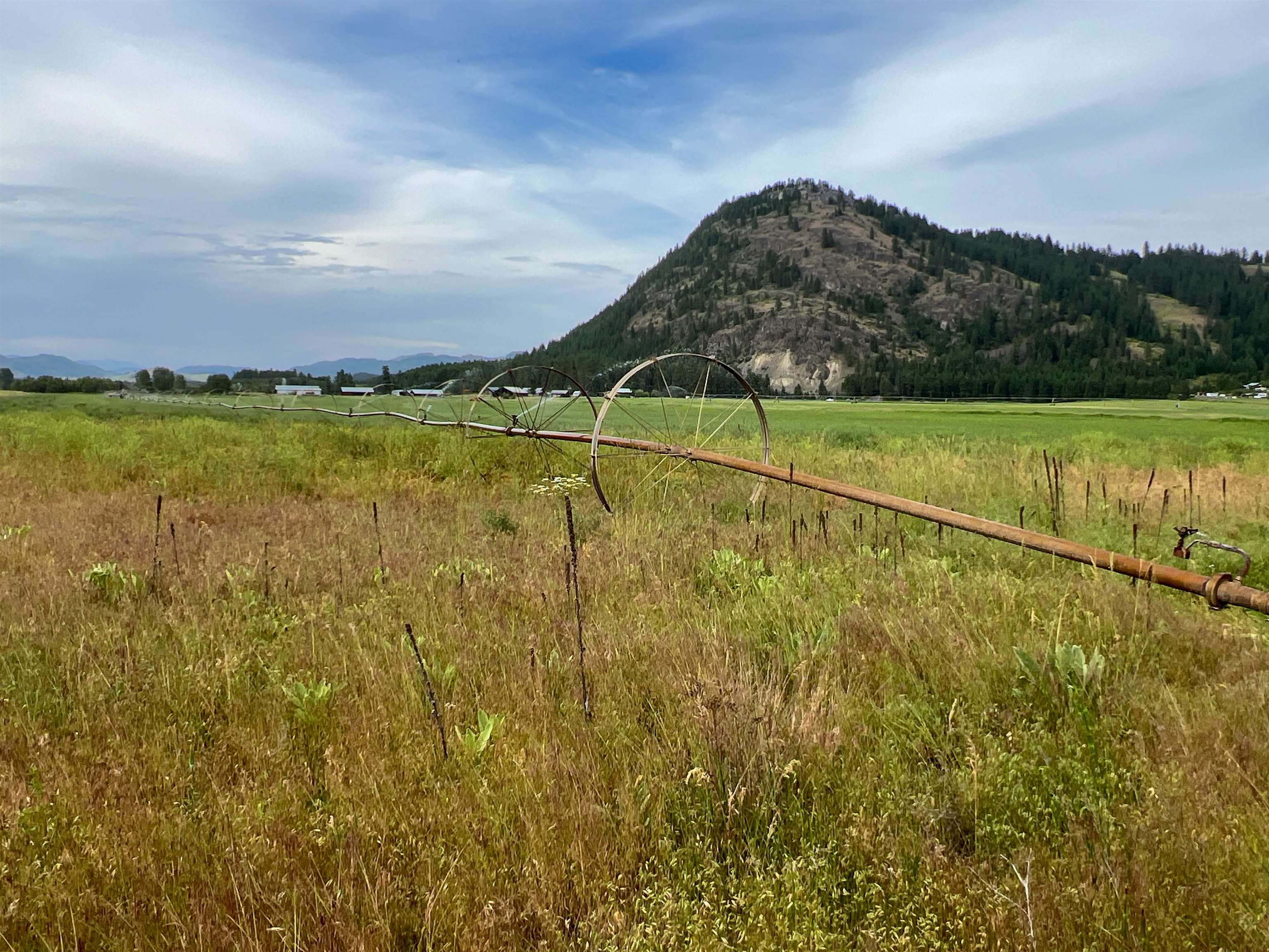 820 Echo Stub Road Colville, WA 99114 - Photo 17 of 46