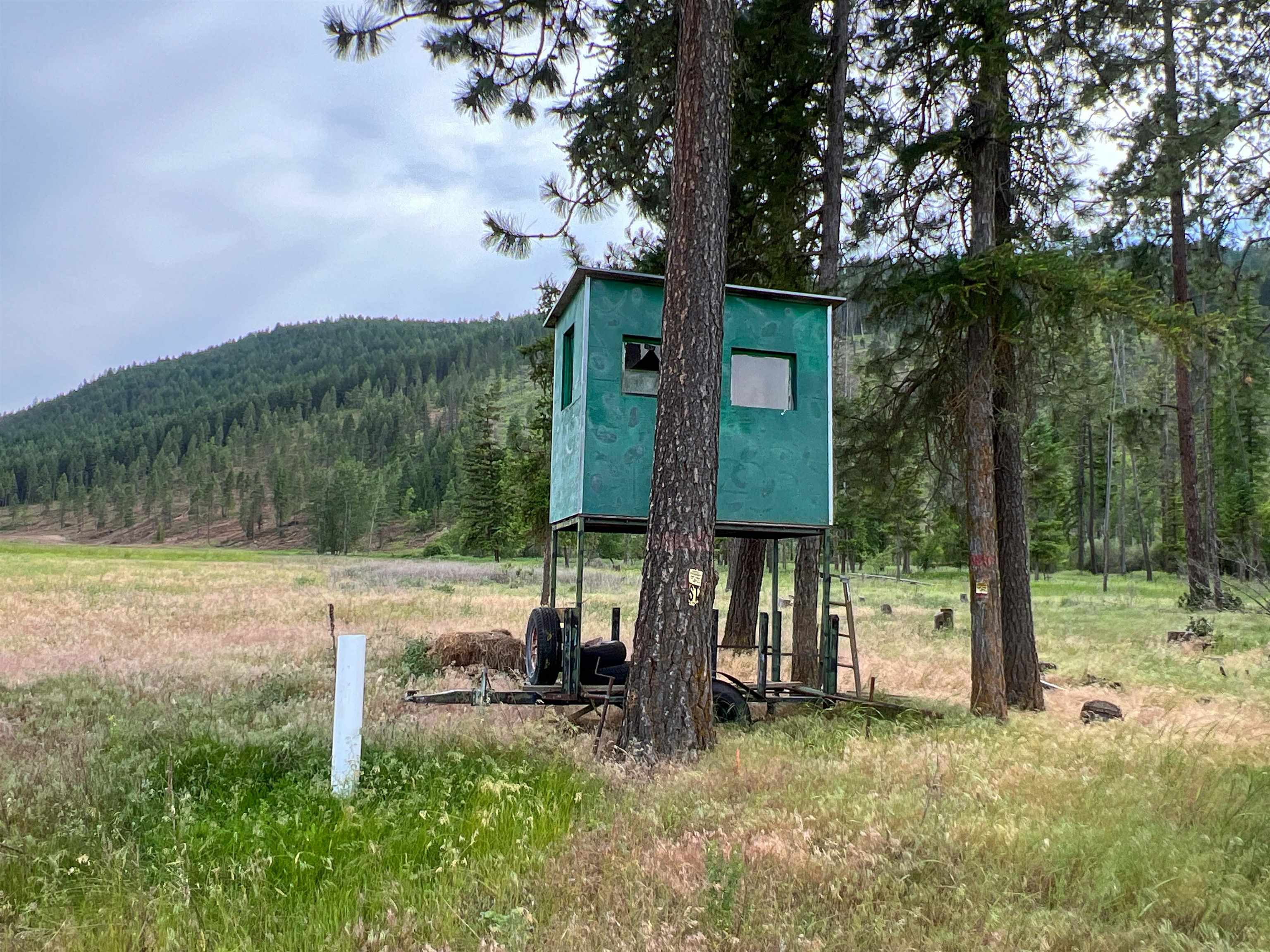 820 Echo Stub Road Colville, WA 99114 - Photo 22 of 46