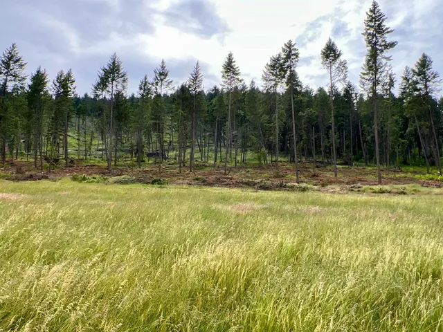 $3,400,000 | 820 Echo Stub Road, Colville, WA 99114