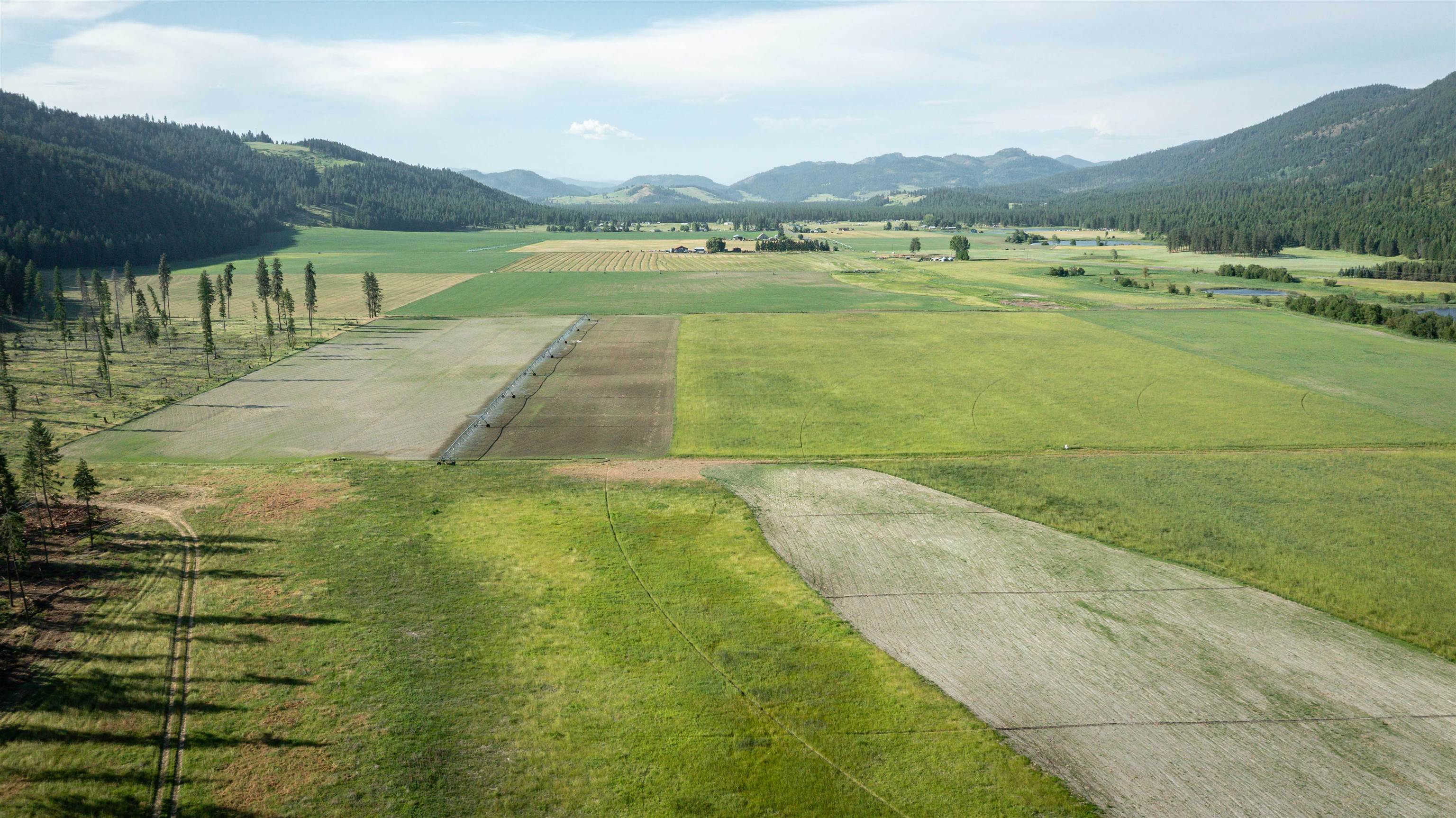 820 Echo Stub Road Colville, WA 99114 - Photo 26 of 46