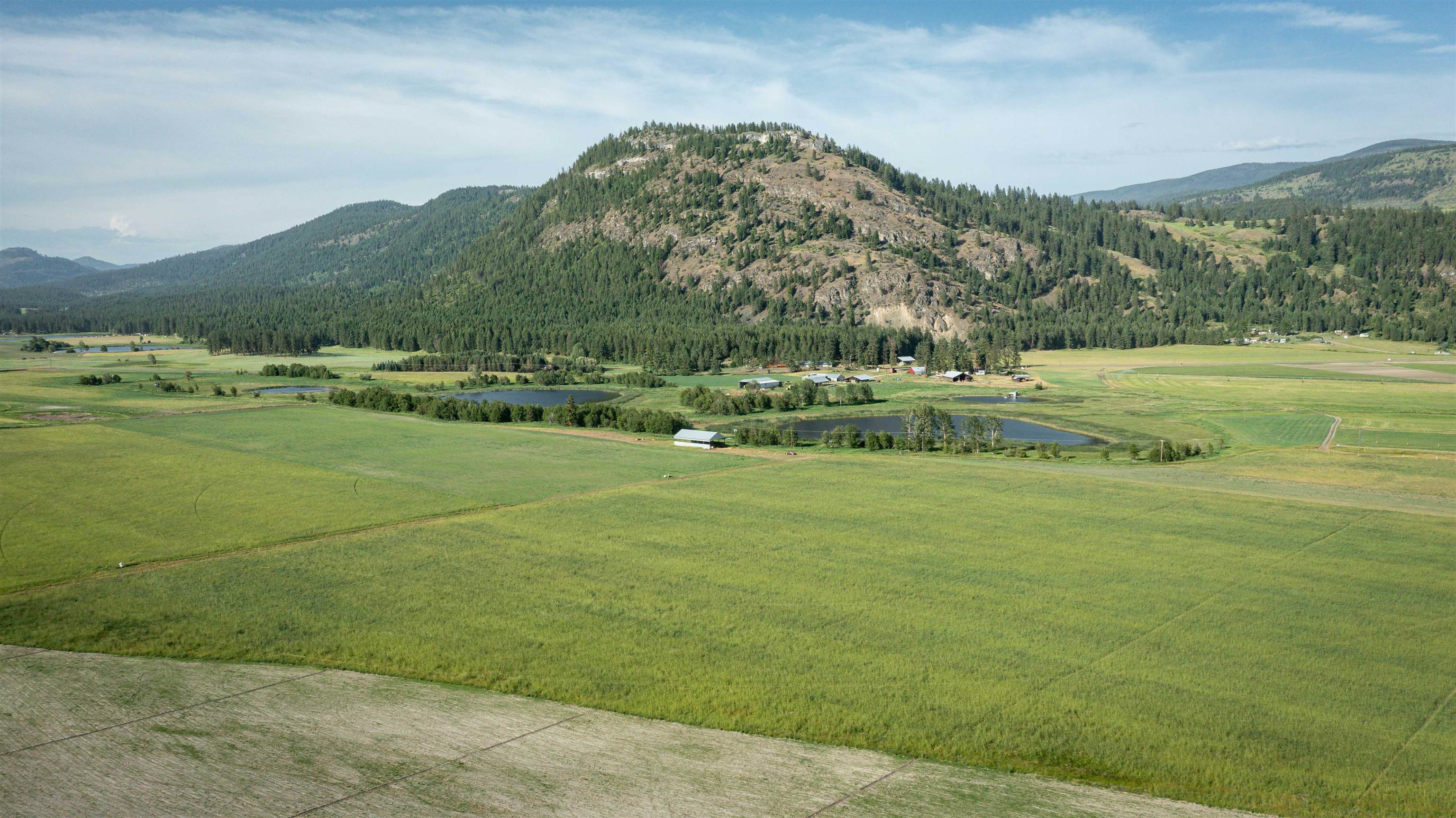 820 Echo Stub Road Colville, WA 99114 - Photo 27 of 46