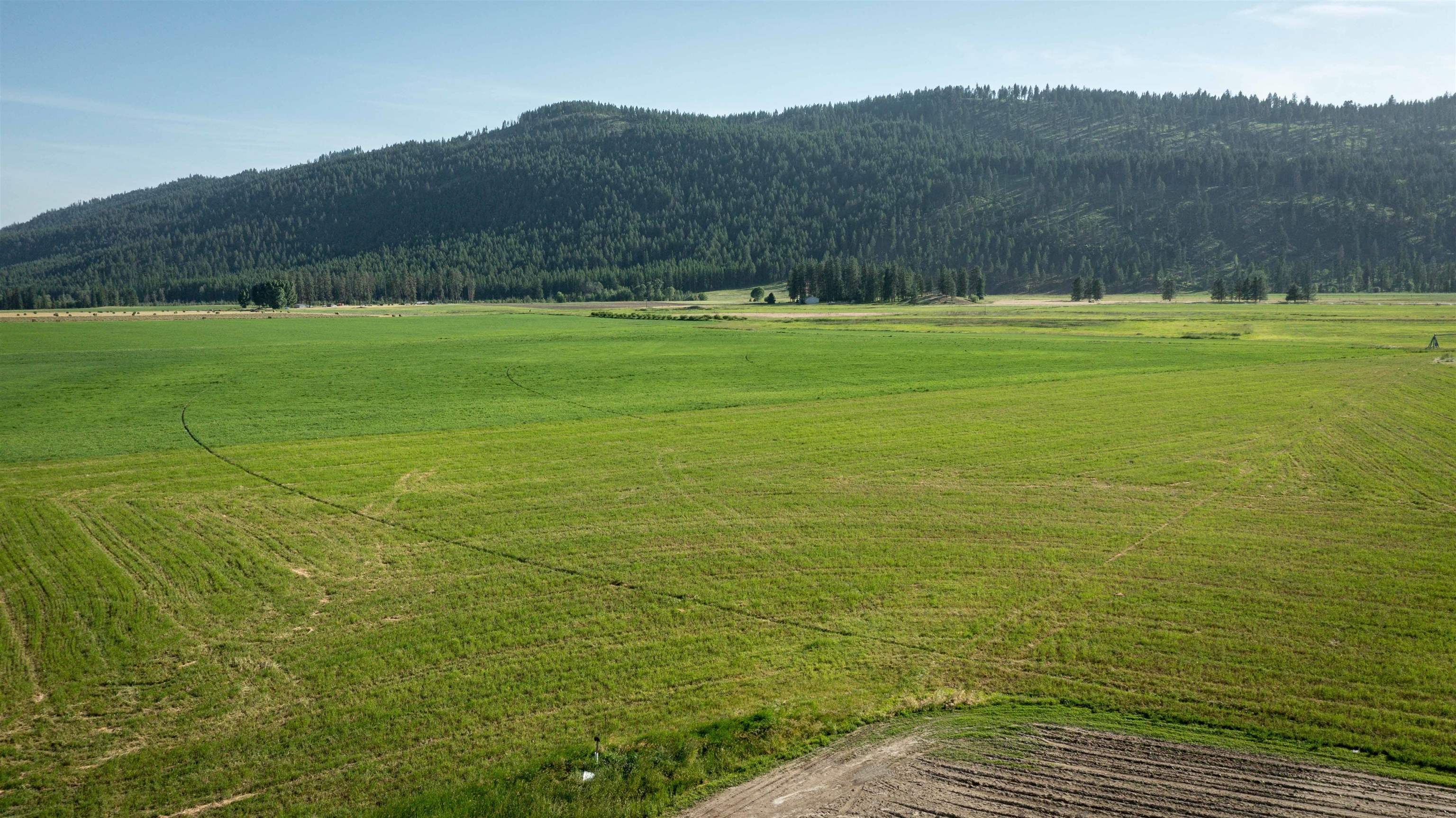 820 Echo Stub Road Colville, WA 99114 - Photo 29 of 46