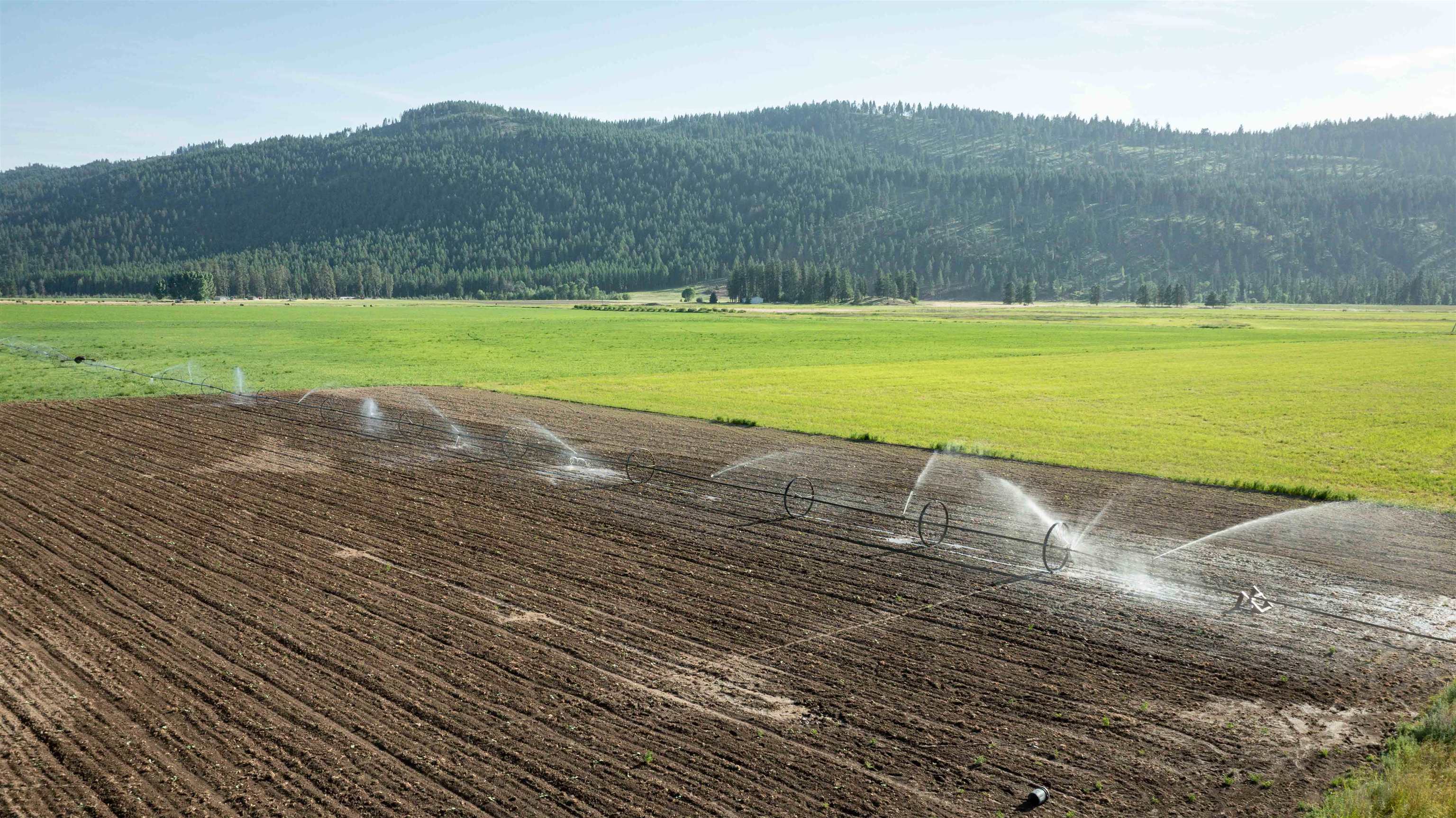 820 Echo Stub Road Colville, WA 99114 - Photo 30 of 46