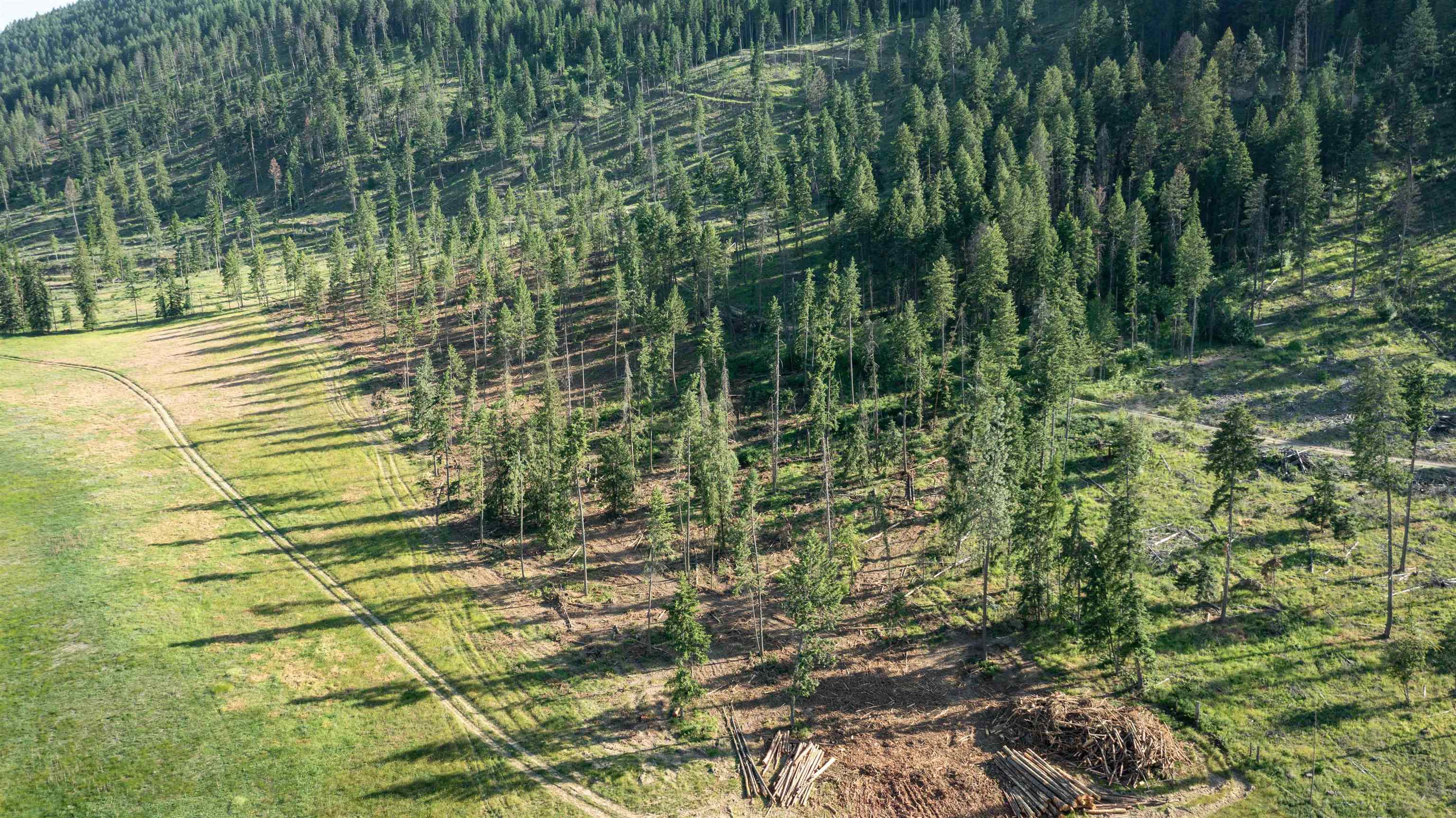 820 Echo Stub Road Colville, WA 99114 - Photo 32 of 46