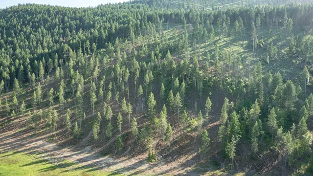 $3,400,000 | 820 Echo Stub Road, Colville, WA 99114