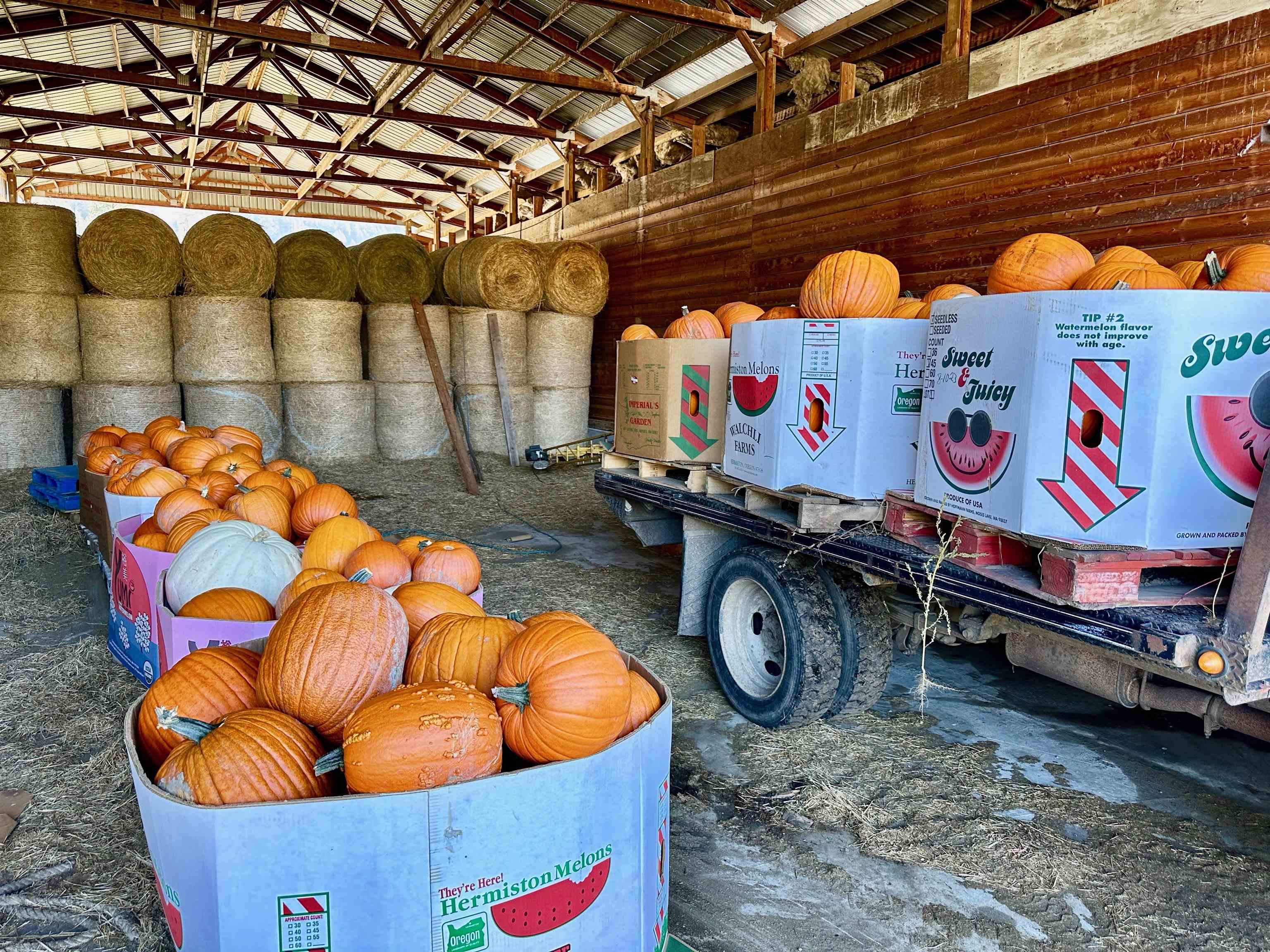 820 Echo Stub Road Colville, WA 99114 - Photo 35 of 46