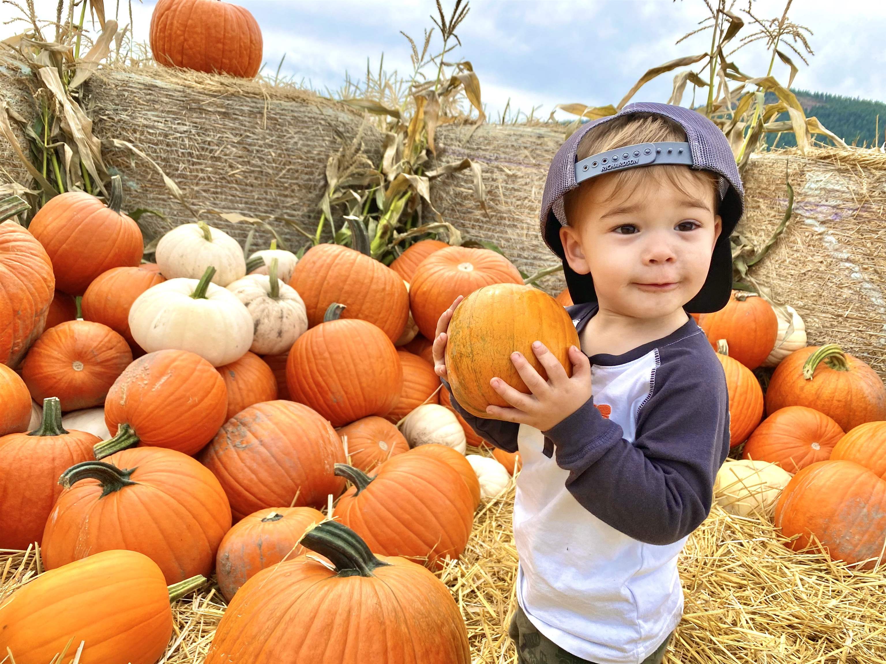 820 Echo Stub Road Colville, WA 99114 - Photo 38 of 46