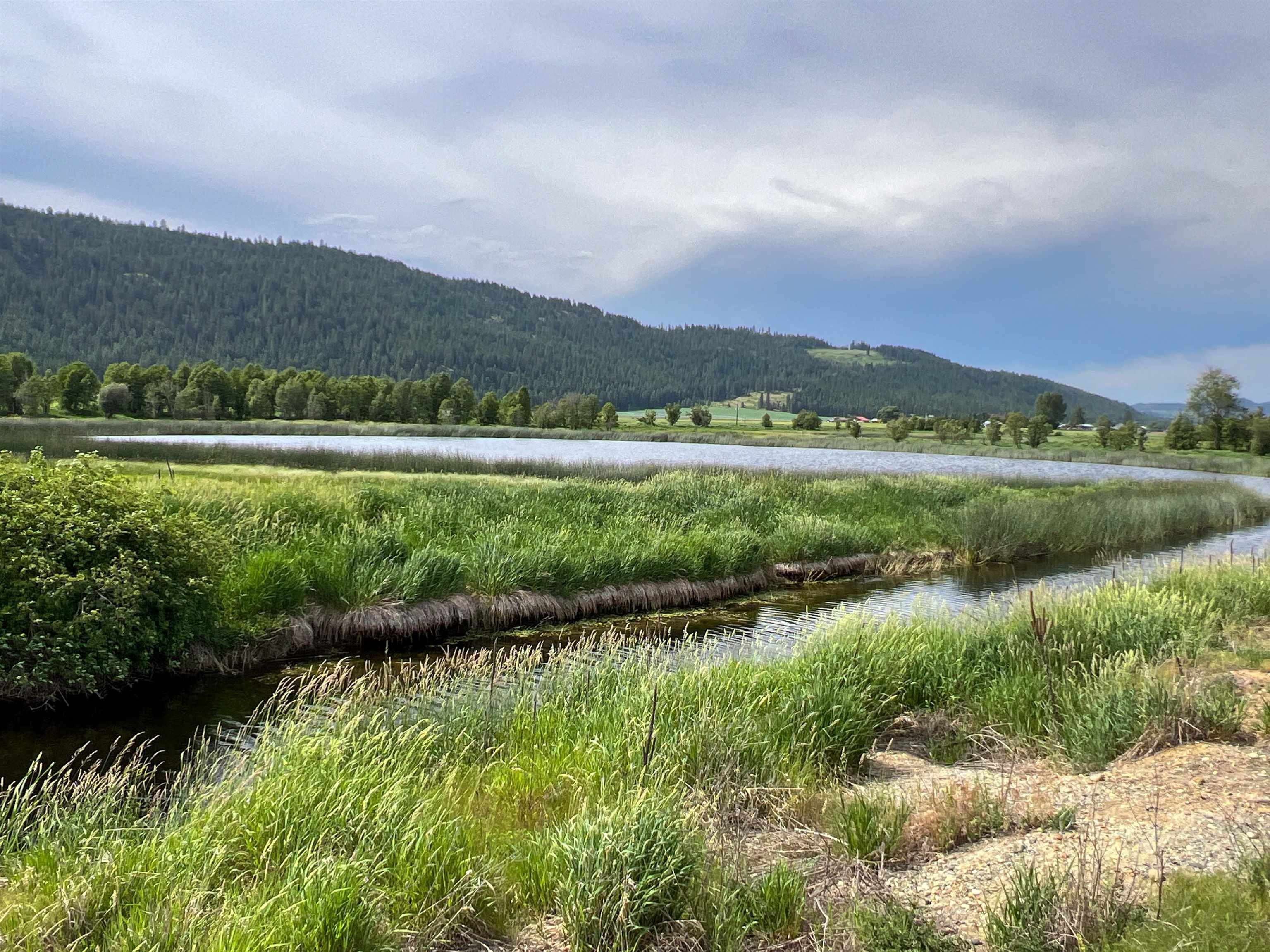 820 Echo Stub Road Colville, WA 99114 - Photo 4 of 46