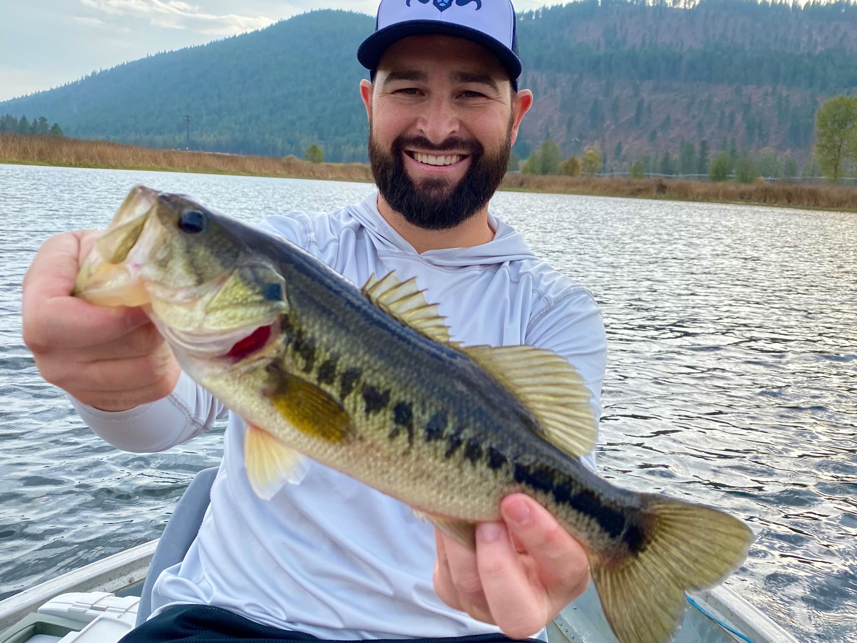 820 Echo Stub Road Colville, WA 99114 - Photo 41 of 46