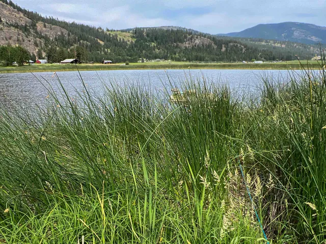 $3,400,000 | 820 Echo Stub Road, Colville, WA 99114