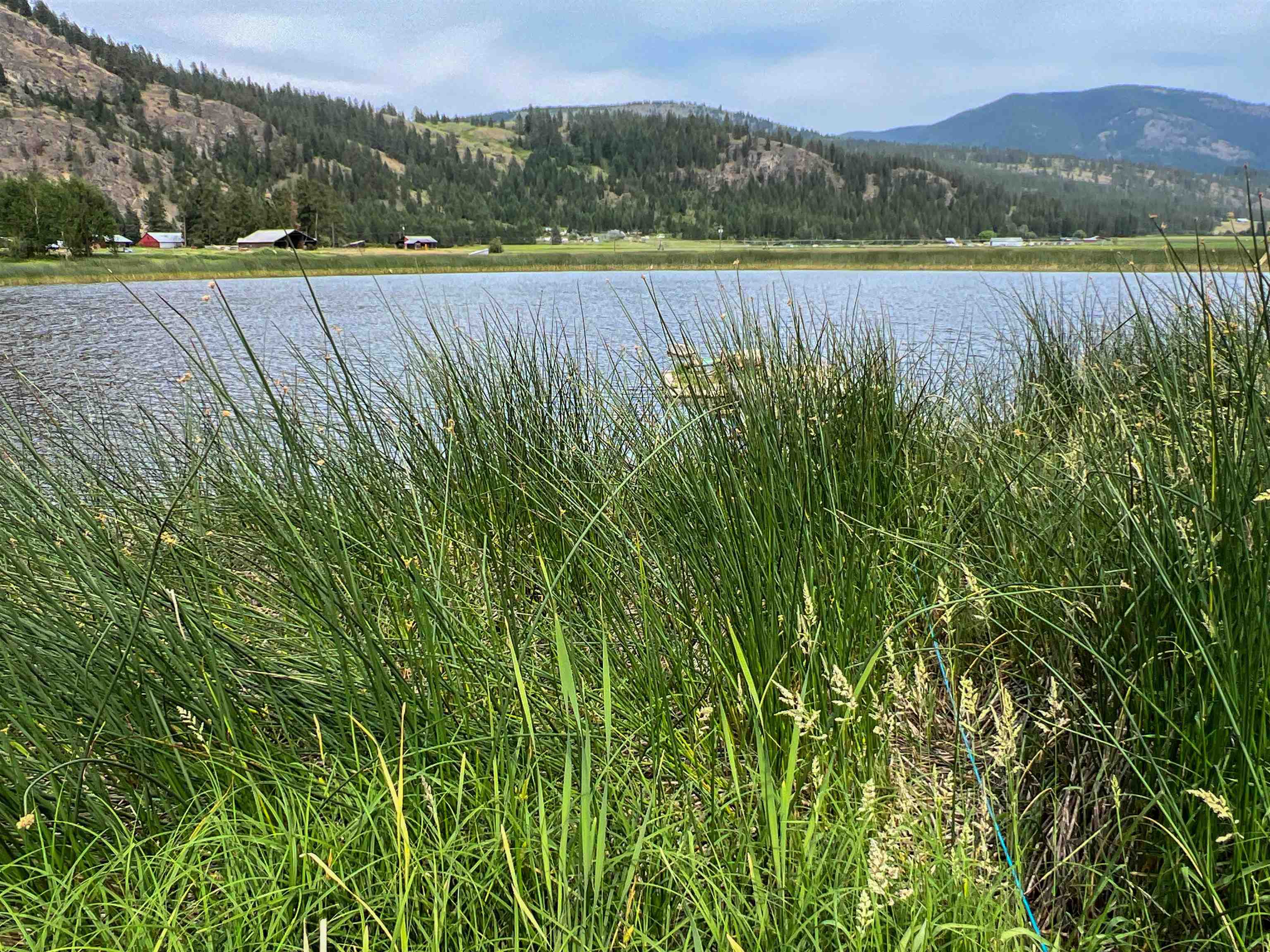 820 Echo Stub Road Colville, WA 99114 - Photo 6 of 46