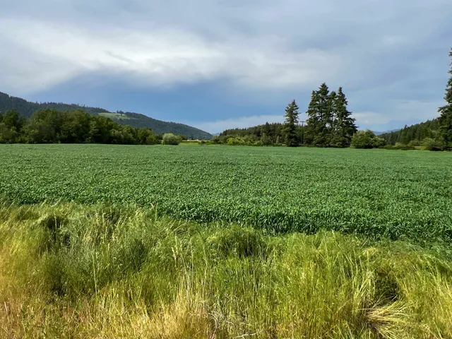 $3,400,000 | 820 Echo Stub Road, Colville, WA 99114