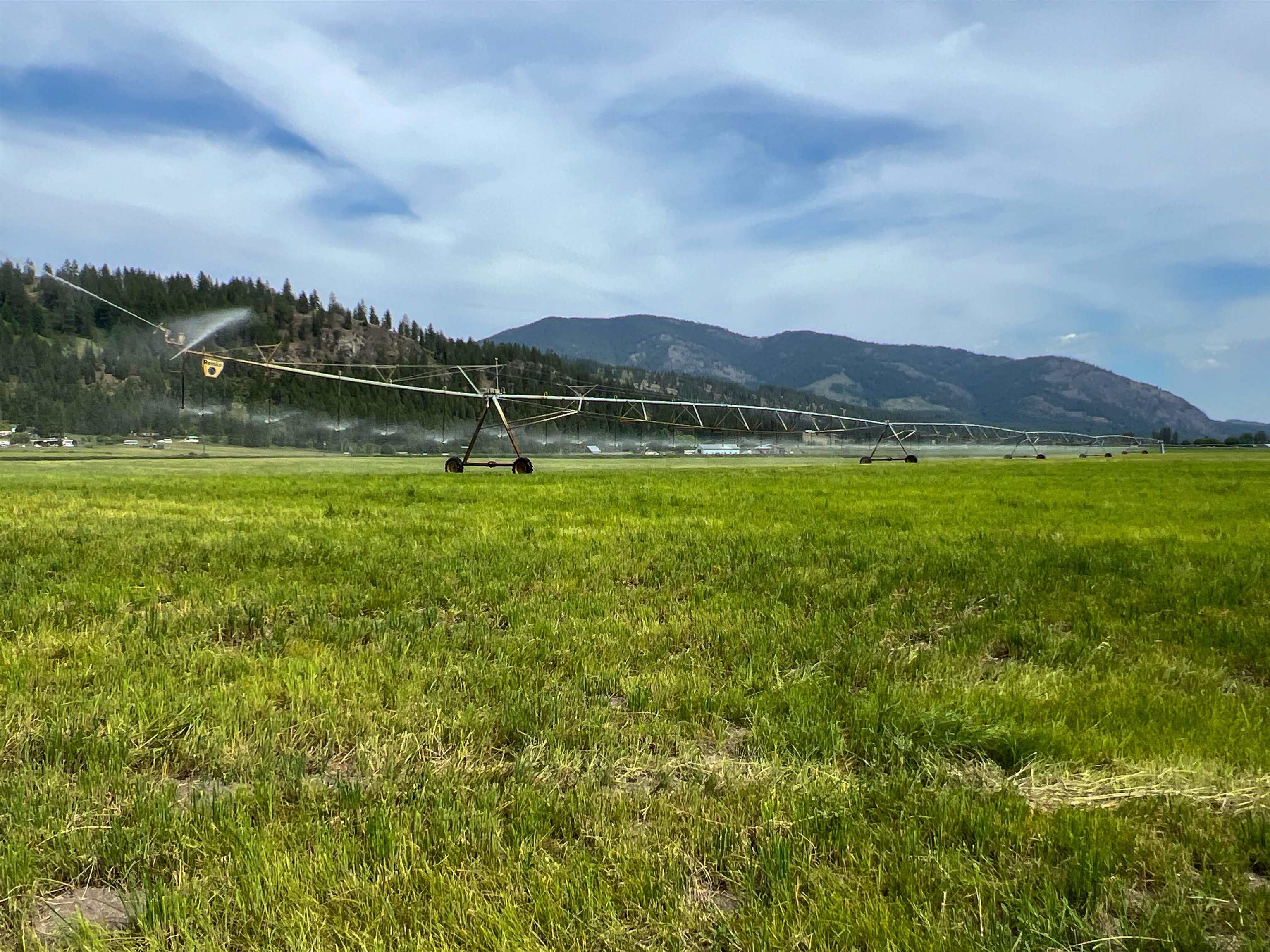 820 Echo Stub Road Colville, WA 99114 - Photo 8 of 46