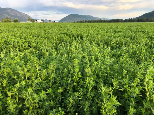 $3,400,000 | 820 Echo Stub Road, Colville, WA 99114