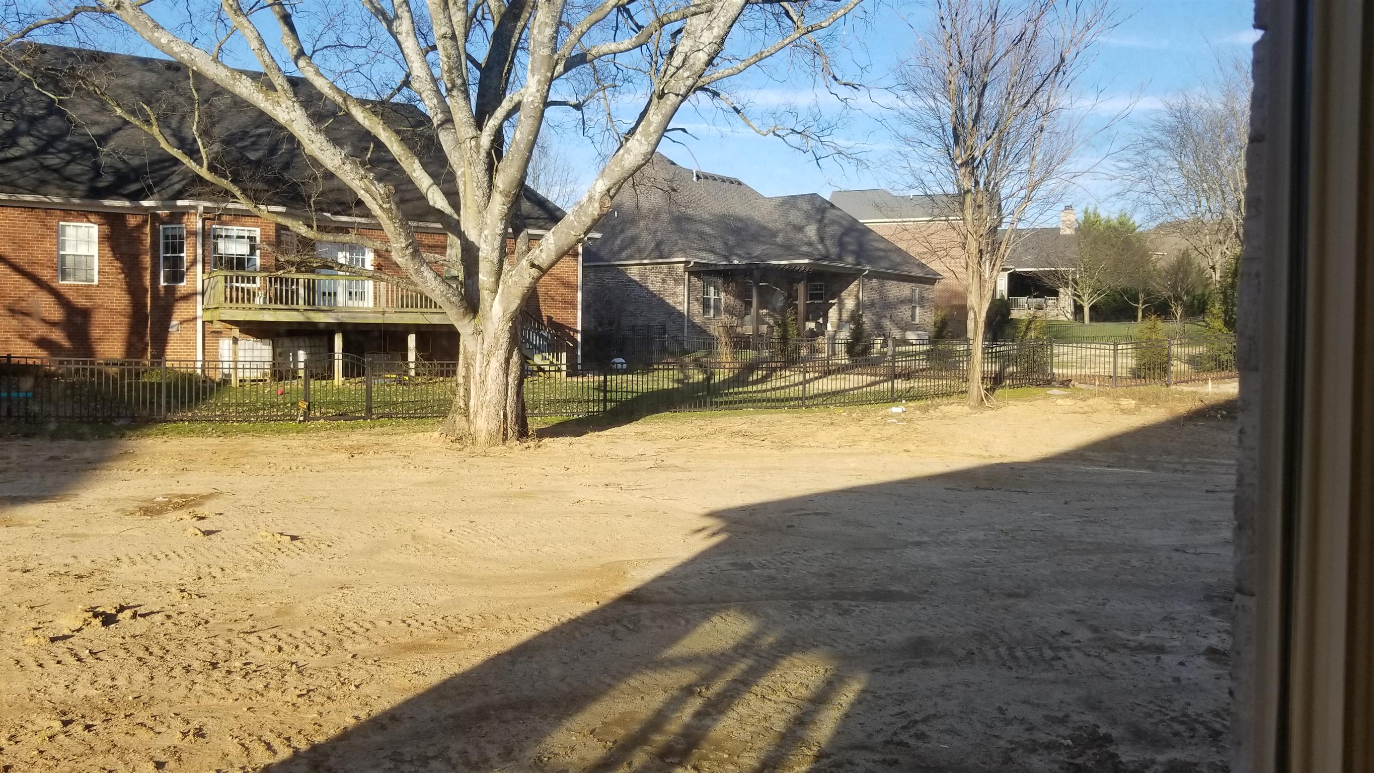 1036 Maleventum Way Spring Hill, TN 37174 - Photo 6 of 19 mature trees