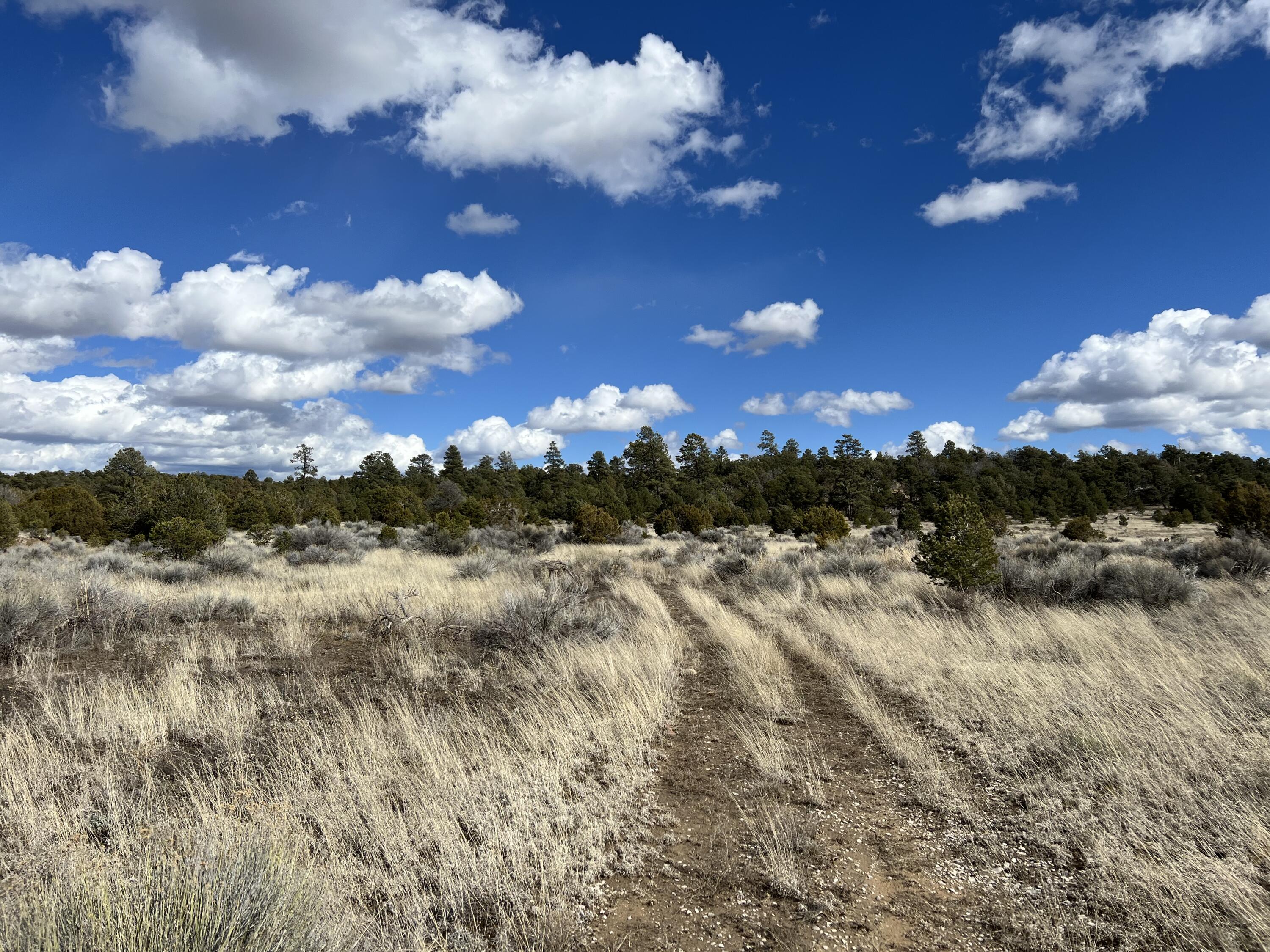Lot 14 Candy Kitchen Road Ramah, NM 87357 - Photo 29 of 41 Gallery Image 29