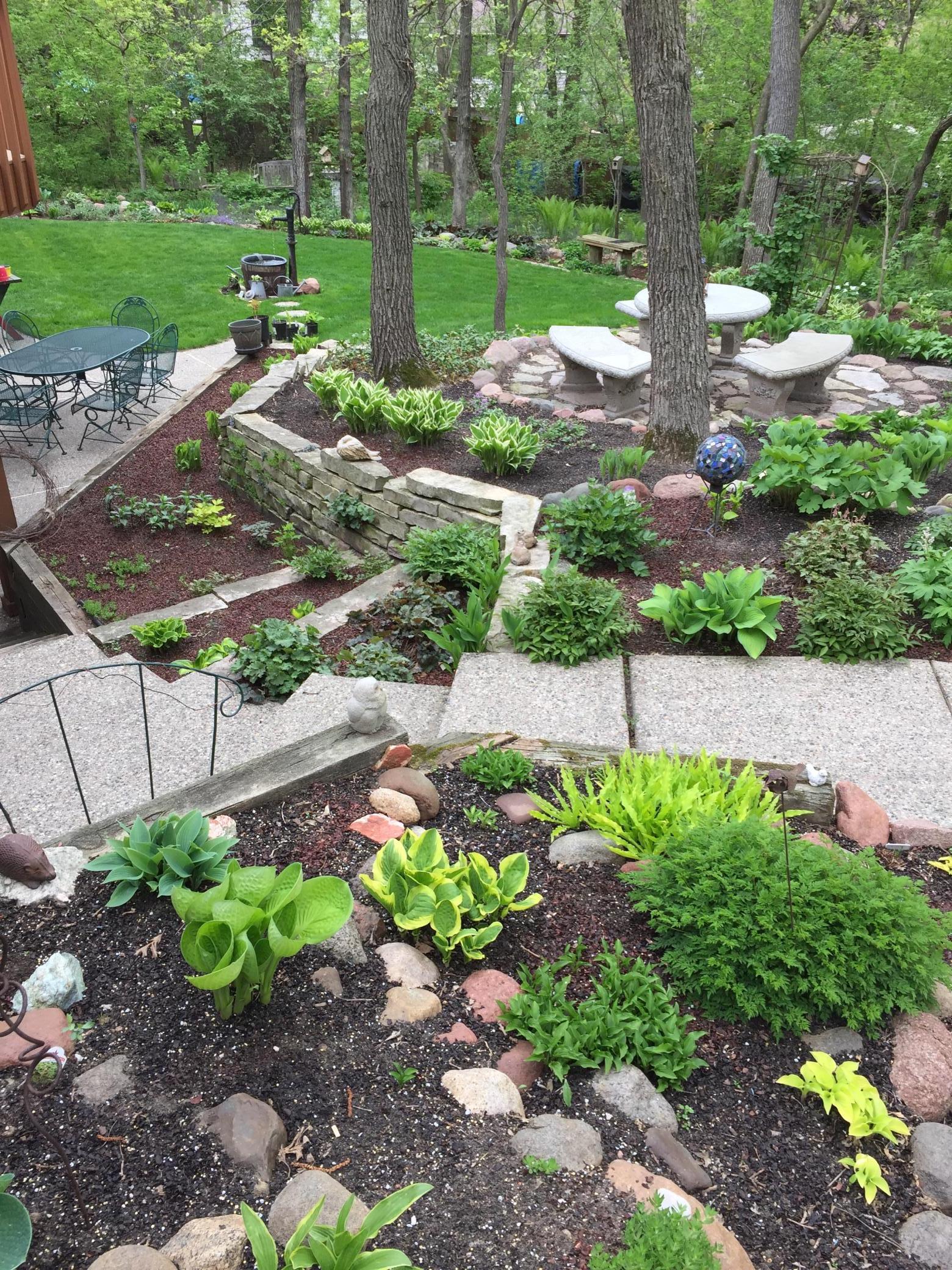 12069 Holly Street Northwest Coon Rapids, MN 55448 - Photo 13 of 61