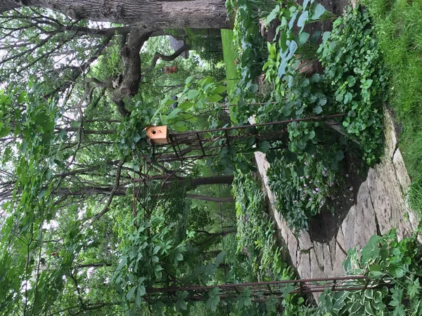 $515,000 | 12069 Holly Street Northwest, Coon Rapids, MN 55448