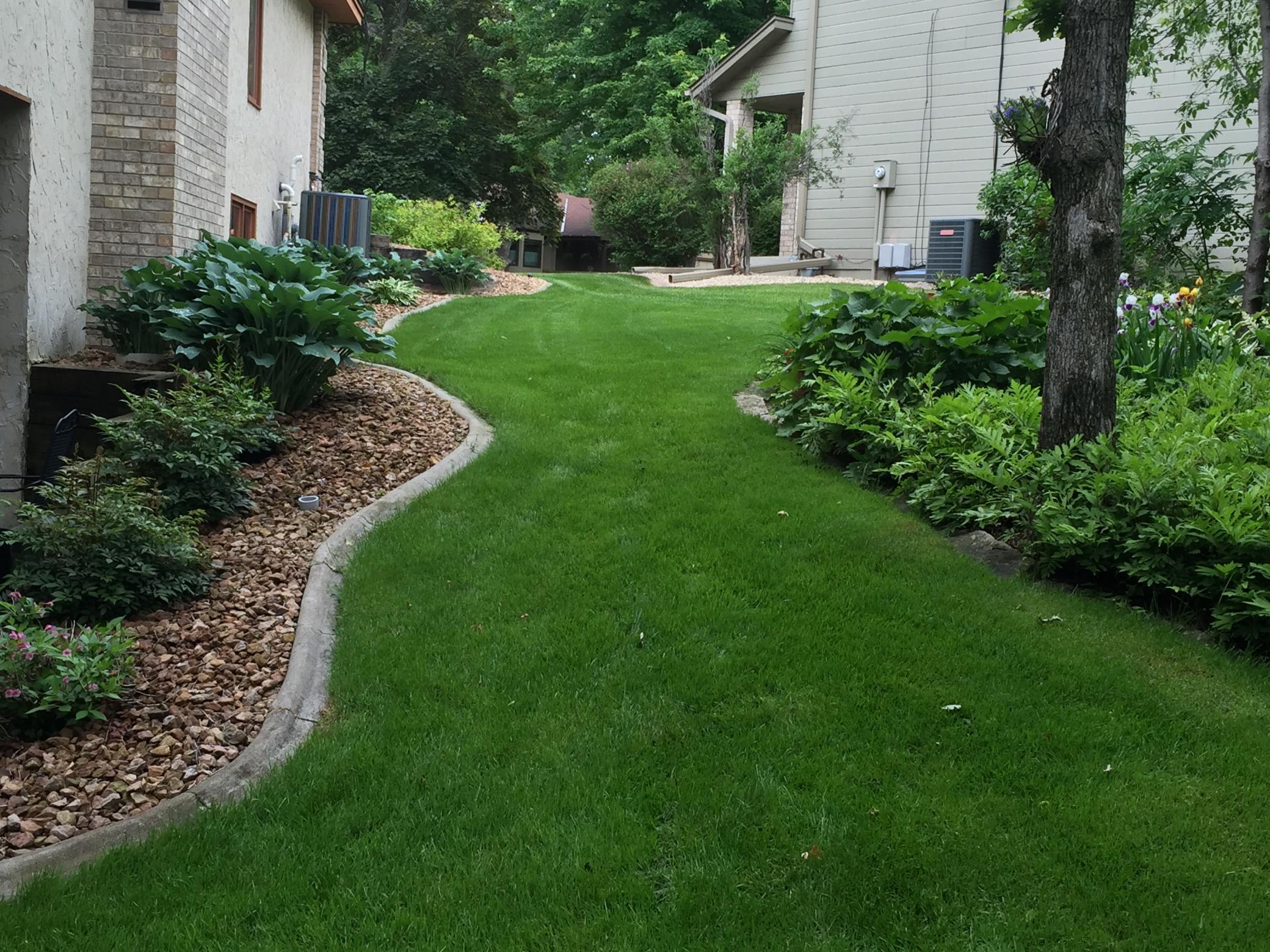 12069 Holly Street Northwest Coon Rapids, MN 55448 - Photo 19 of 61