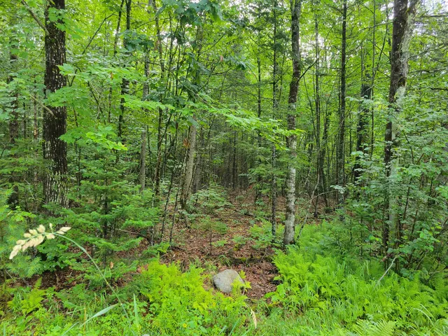 $49,500 | 0 Union Hill Road, Stow, ME 04037