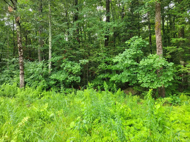 $49,500 | 0 Union Hill Road, Stow, ME 04037