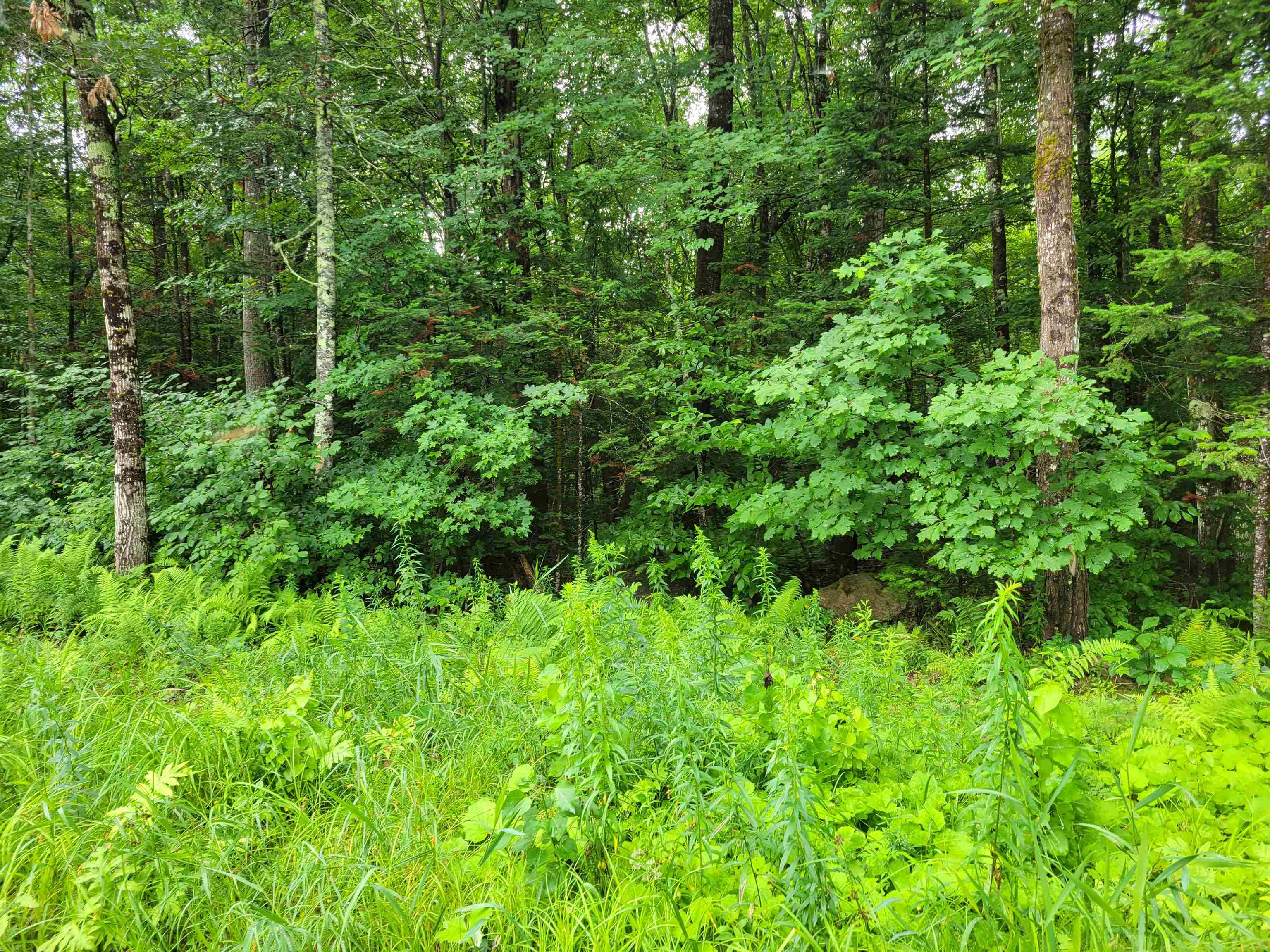 0 Union Hill Road Stow, ME 04037 - Photo 3 of 3 Gallery Image 3