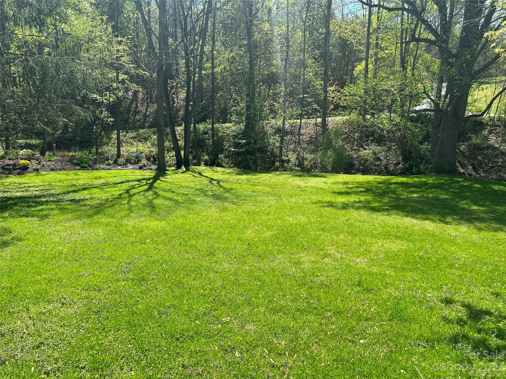 32 Reeves Road Leicester, NC 28748 - Photo 6 of 18 Gallery Image 6