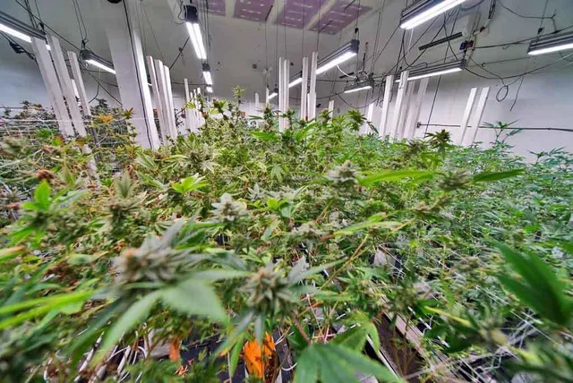 $199,900 | 5 Hastey Road, Dyer Brook, ME 04747