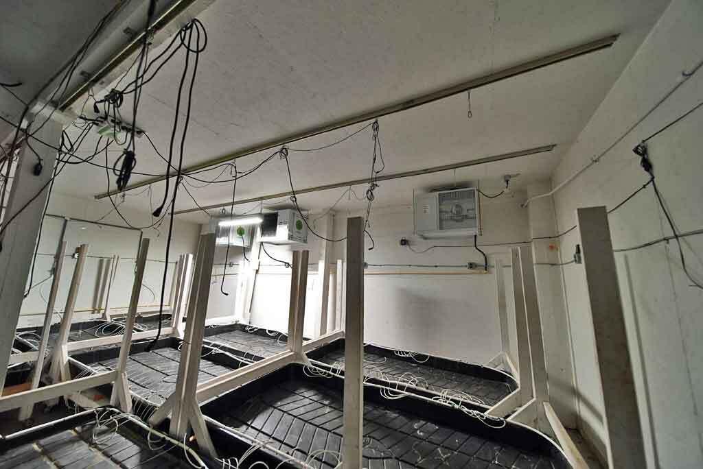 5 Hastey Road Dyer Brook, ME 04747 - Photo 26 of 41 grow-trays-beds-maine