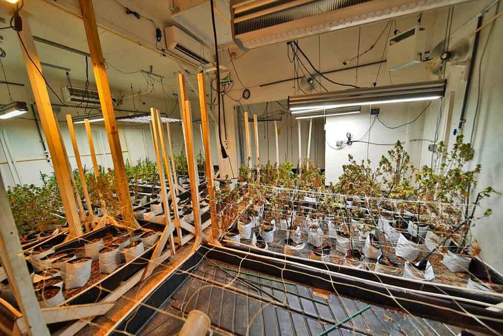 5 Hastey Road Dyer Brook, ME 04747 - Photo 29 of 41 maine-grow-bed-trays