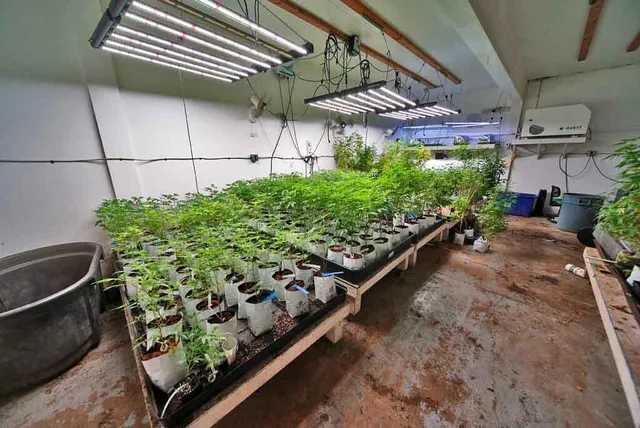 $199,900 | 5 Hastey Road, Dyer Brook, ME 04747