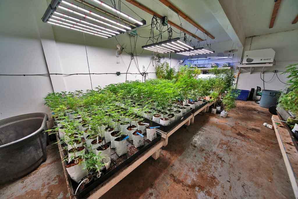 5 Hastey Road Dyer Brook, ME 04747 - Photo 30 of 41 medical-marijuana-grow