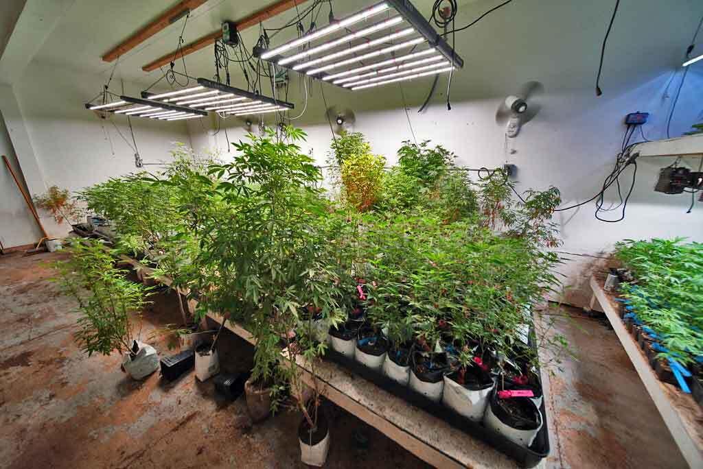 5 Hastey Road Dyer Brook, ME 04747 - Photo 31 of 41 multi-purpose-building-uses