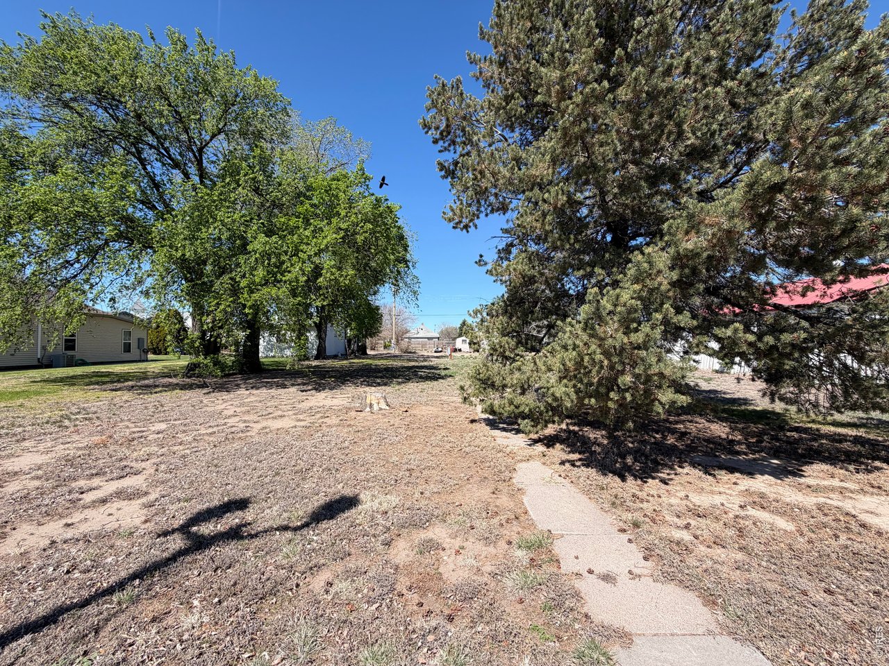 314 Colorado Avenue Stratton, CO 80836 - Photo 2 of 10 a view of a yard with plants and trees