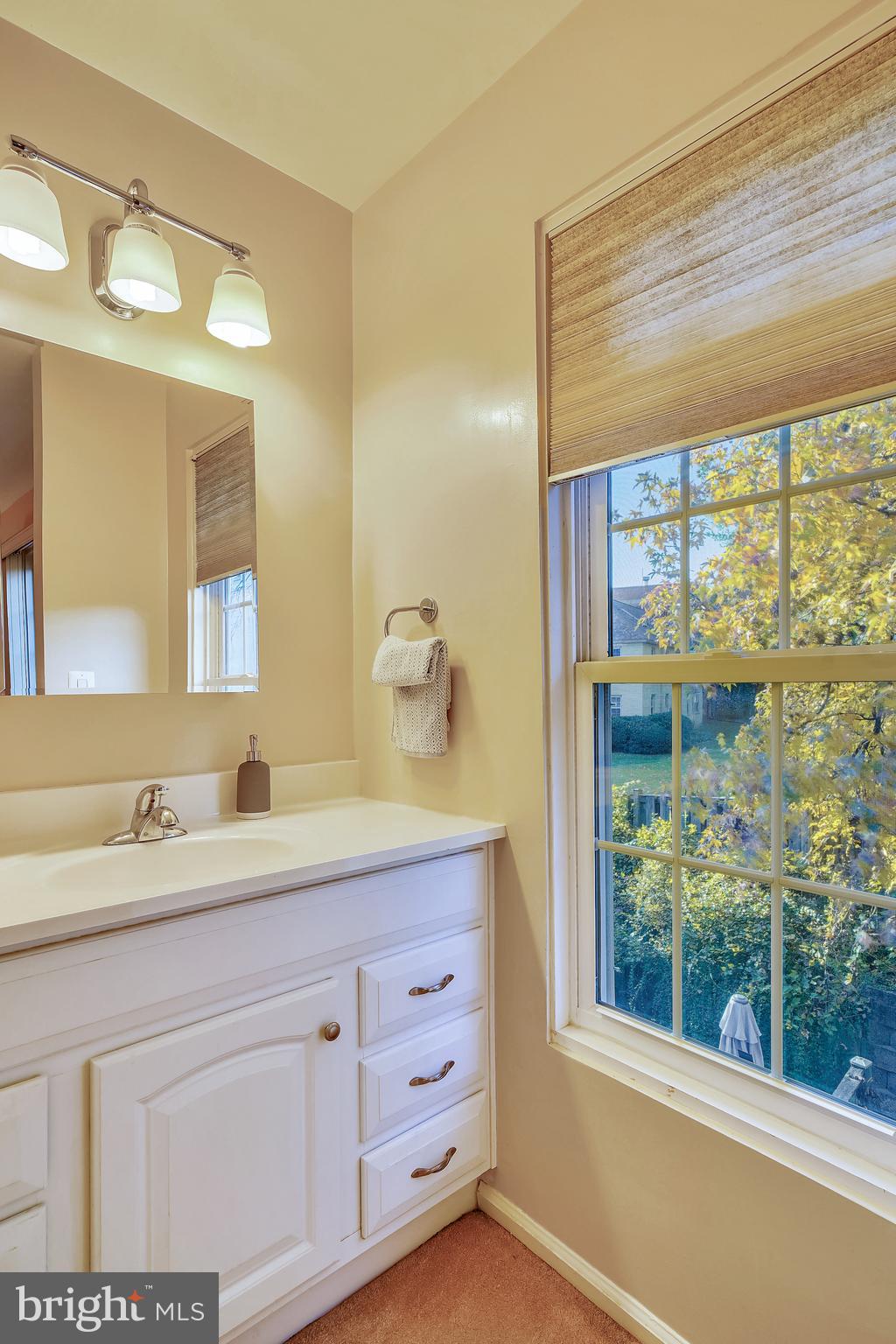 2125 Derby Ridge Lane, Unit 16 Silver Spring, MD 20910 - Photo 17 of 32 Primary vanity area