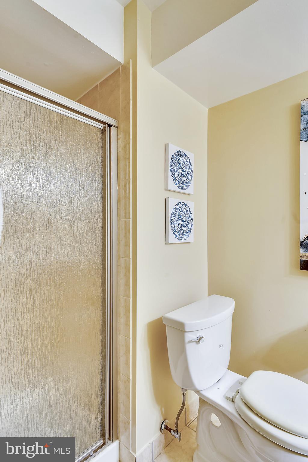 2125 Derby Ridge Lane, Unit 16 Silver Spring, MD 20910 - Photo 28 of 32 Lower level full bath