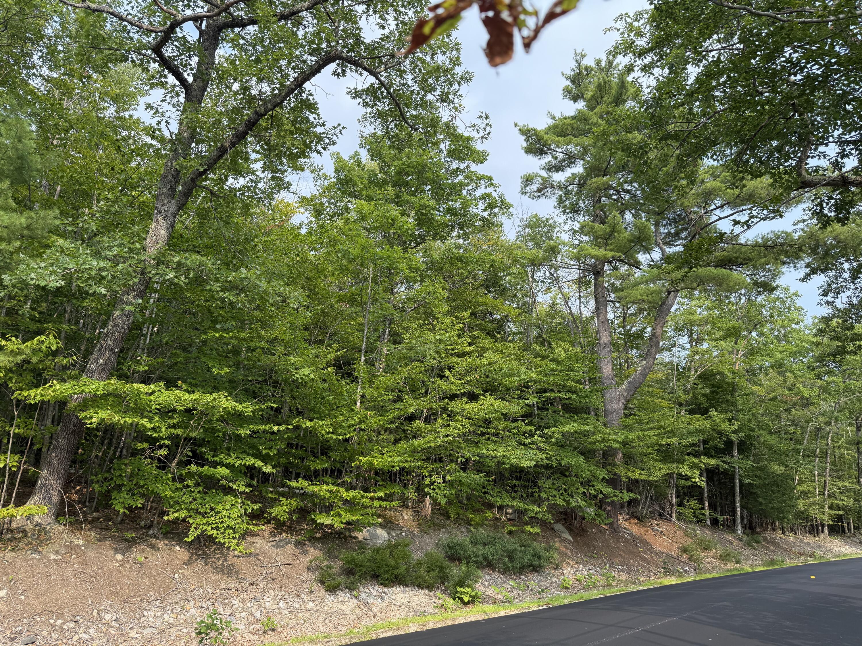 Lot 15-3b Sweden Road Bridgton, ME 04009 - Photo 3 of 8 Photo 7