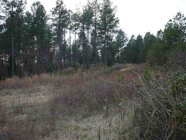 4 Lake Secession Road Abbeville, SC 29620 - Photo 1 of 6 Gallery Image 1