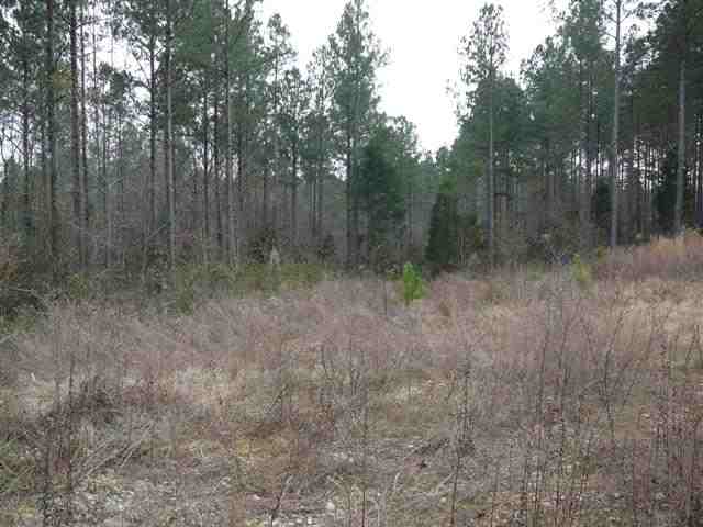 4 Lake Secession Road Abbeville, SC 29620 - Photo 3 of 6 Gallery Image 3