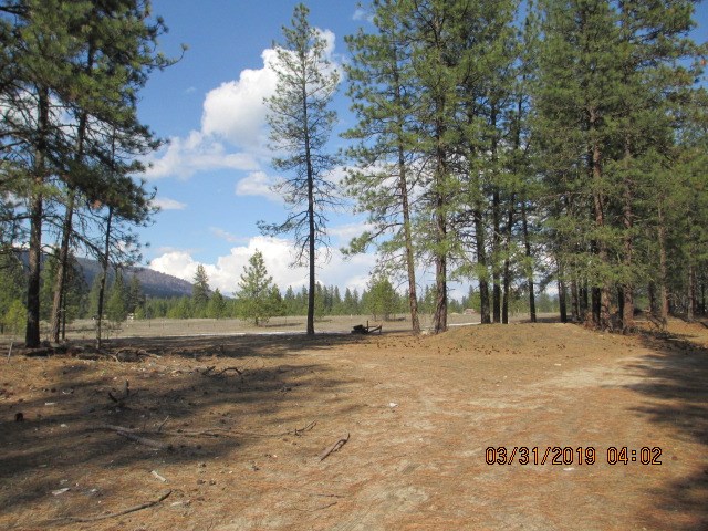 16 Sherman Shop Road Kettle Falls, WA 99141 - Photo 15 of 20 Gallery Image 15