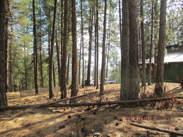16 Sherman Shop Road Kettle Falls, WA 99141 - Photo 17 of 20 Gallery Image 17