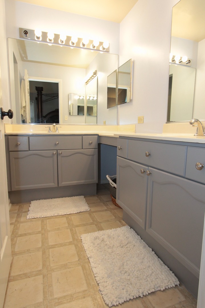 1474 Knotty Pine Drive Elgin, IL 60123 - Photo 12 of 21 a spacious bathroom with a granite countertop sink mirror and bathtub