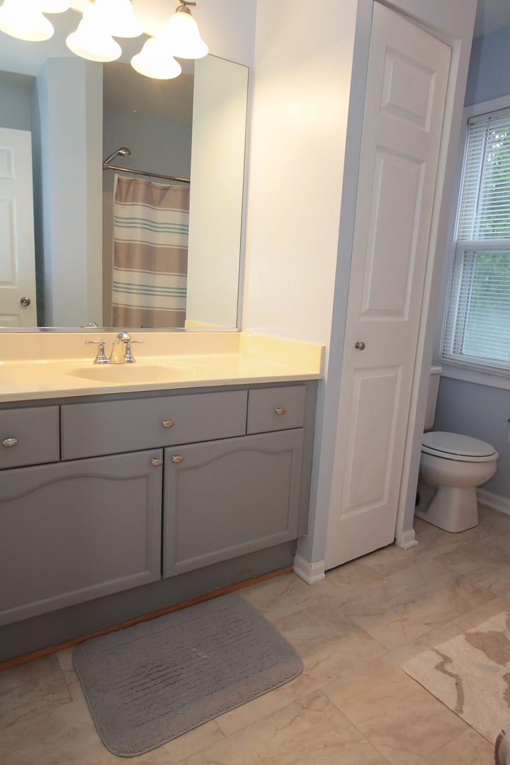 1474 Knotty Pine Drive Elgin, IL 60123 - Photo 17 of 21 a bathroom with a sink and a toilet